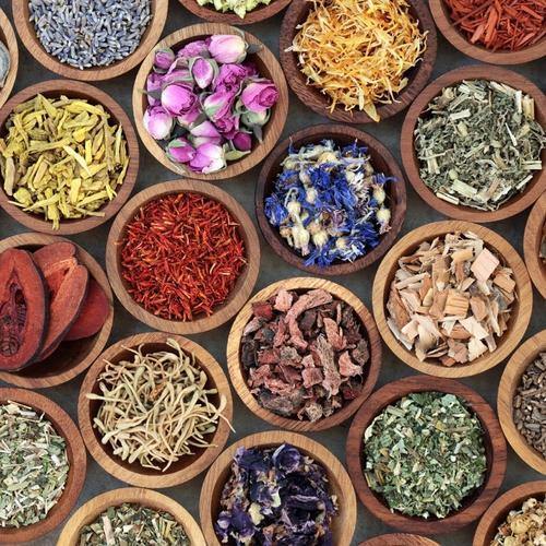 8 Natural Herbs for Boosting Your Immune System - del-IMMUNE V