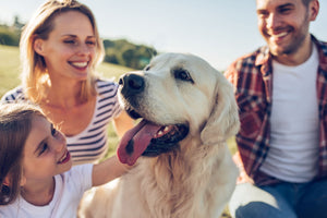 del-IMMUNE V is proven to be effective, shelf-stable, backed by clinical research on the U.S. market, and is safe for the whole family, children and pets included.*