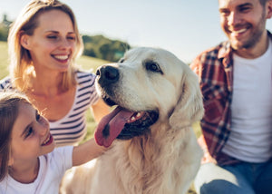 del-IMMUNE V is safe for children, pregnant women, pets, and will help keep the whole family healthy.