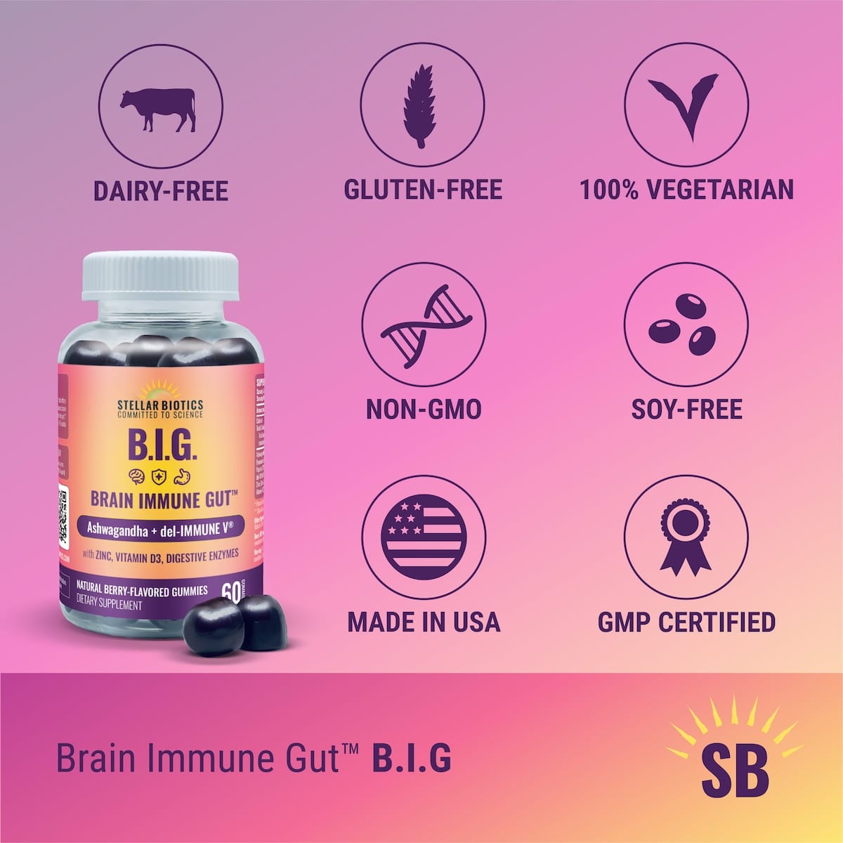 brain immune gut ashwagandha del immune v