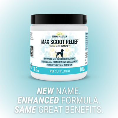 Max Scoot Relief™ | Anal Gland Supplement for Dogs from Stellar Biotics | 100 Gram Pack | Best Supplement for Pets