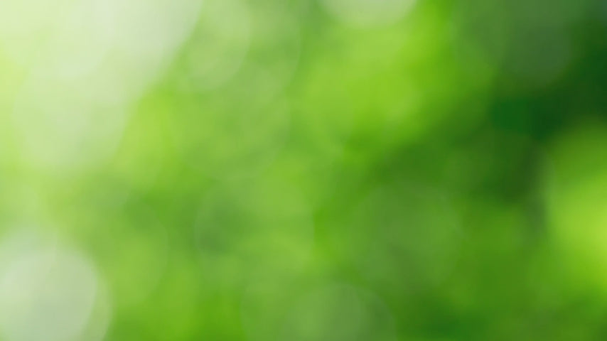 delPRO™ PROBIOTIC - Daily Gut Health Probiotic