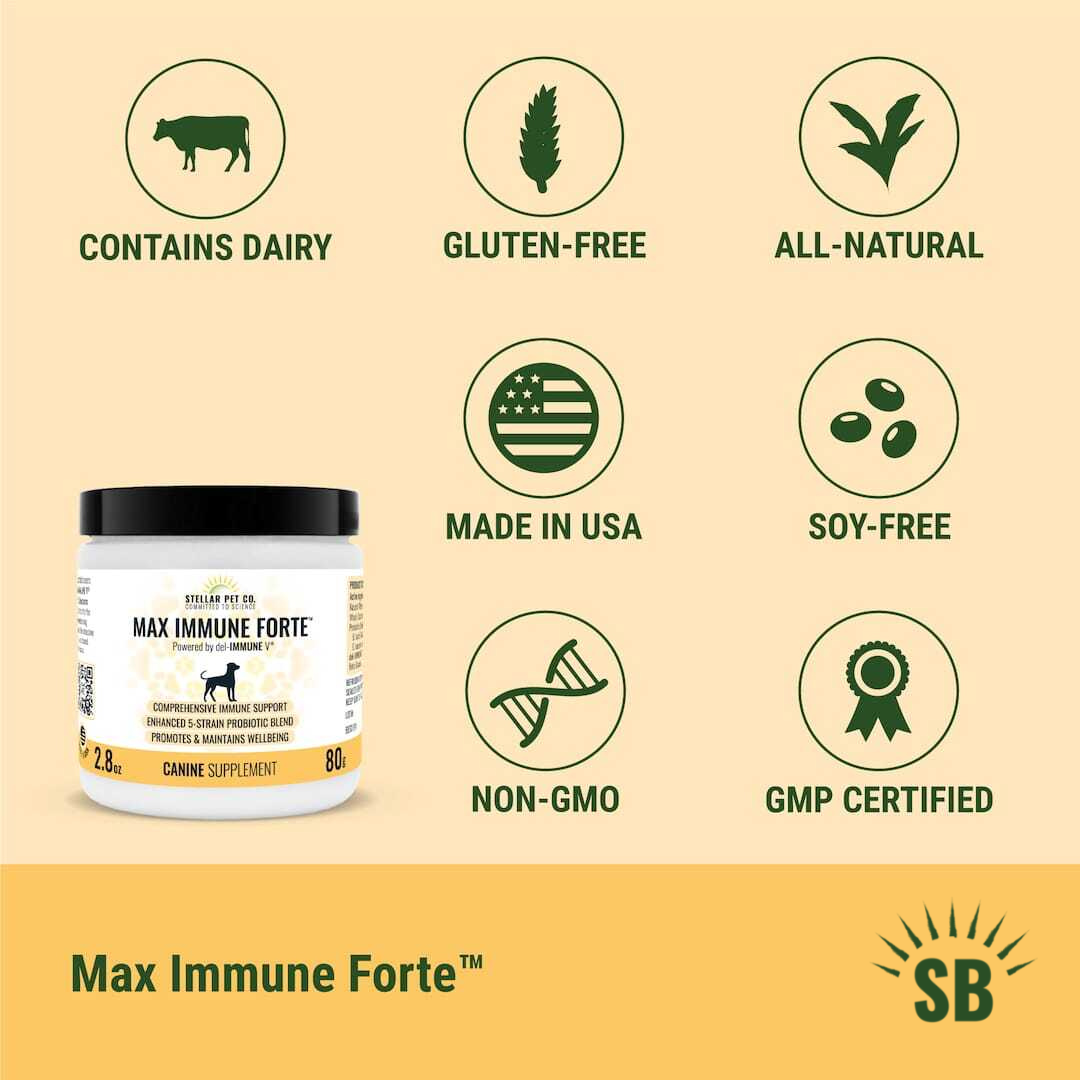 Max Immune Forte is All-Natural, Non-GMO, Gluten-Free, Soy-Free, GMP Certified, Made in USA